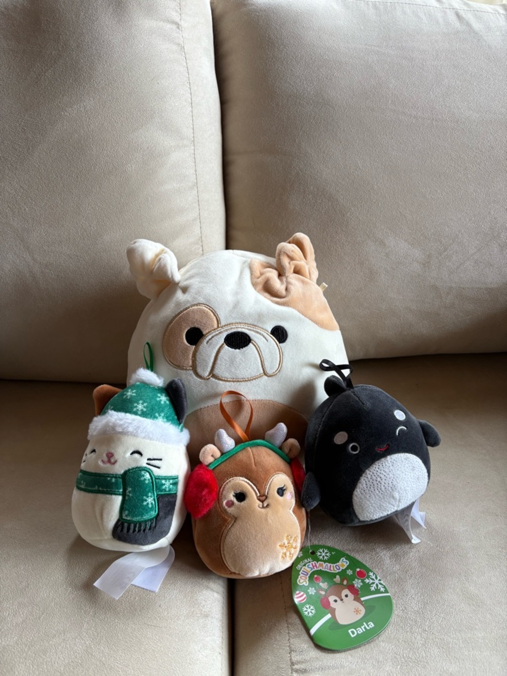 Squishmallow Bundle Brock the Bulldog